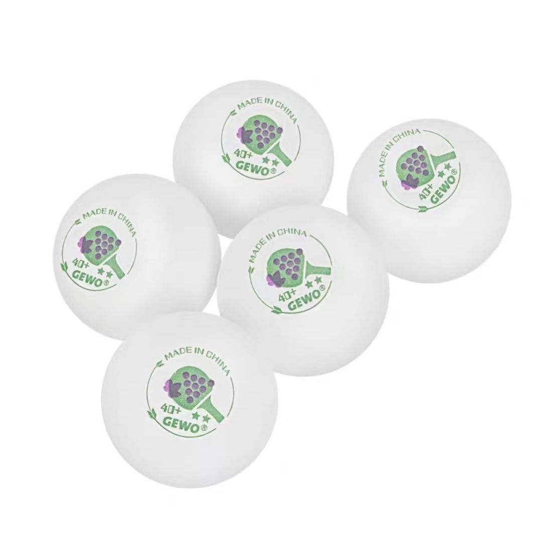 GEWO 2-star 40+ Seamed Table T - Table Tennis Vr review and price