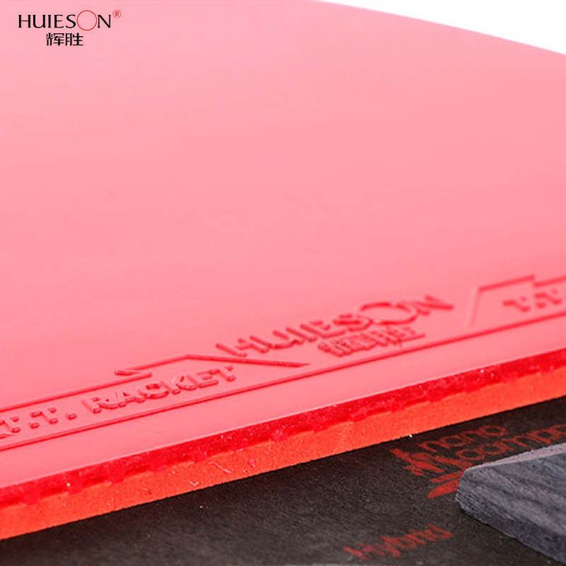 HUIESON Table Tennis Racket Ca - Table Tennis Xiom review and price