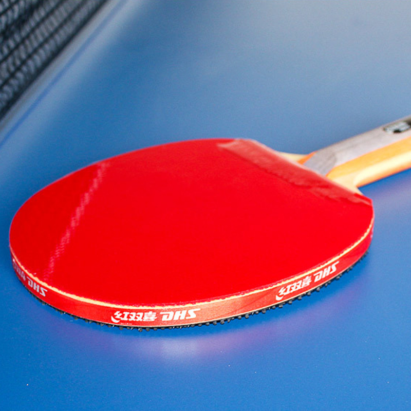 DHS Self-adhesive Table Tennis - Table Tennis Joola review and price