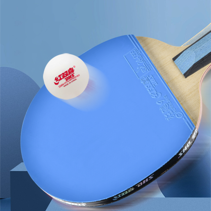 DHS 6 Star H6008 Table Tennis  - Table Tennis Champion review and price
