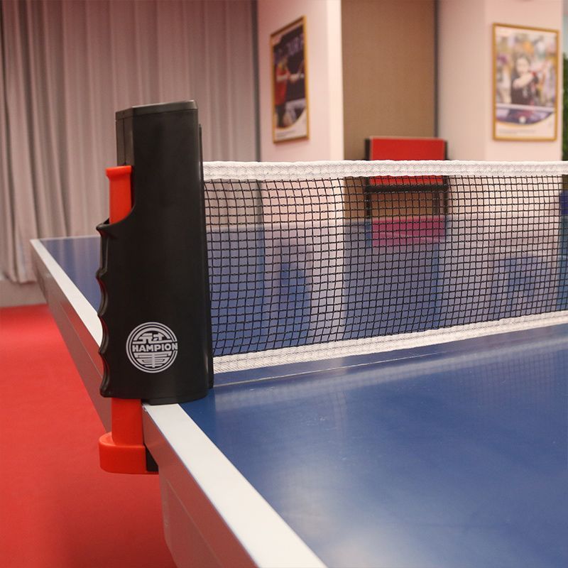 Double Fish Champion Table Ten - Table Tennis Champion review and price