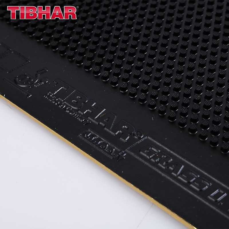 TIBHAR GRASS D.TECS Table Tenn - Table Tennis Rubber Anti Spin review and price