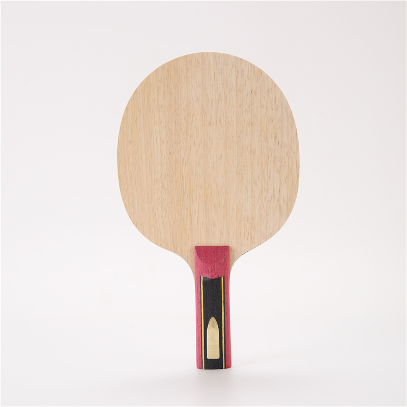 Stuor 5 Layers Wood With 2 Lay - Stiga Carbon Blade review and price