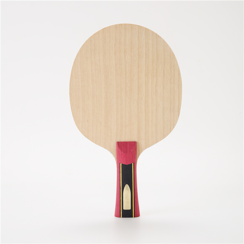 Stuor 5 Layers Wood With 2 Lay - Stiga Carbon Blade review and price