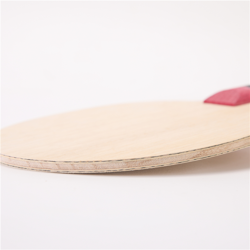 Stuor 5 Layers Wood With 2 Lay - Stiga Carbon Blade review and price