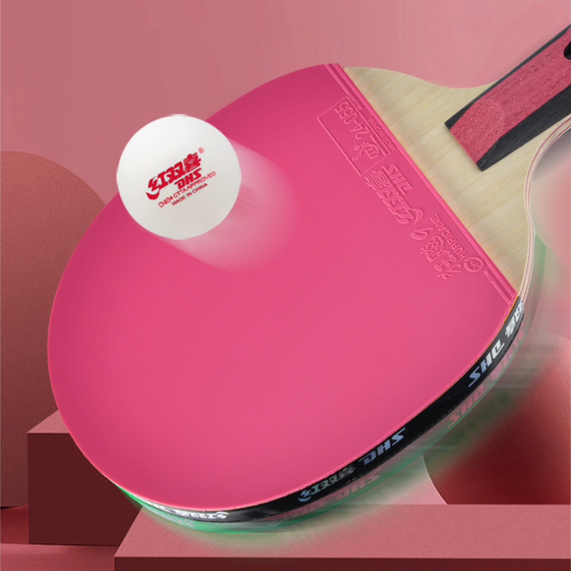 DHS 6 Star Table Tennis Racket - Table Tennis Champion review and price